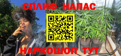 прущие грибы Ликино-Дулёво