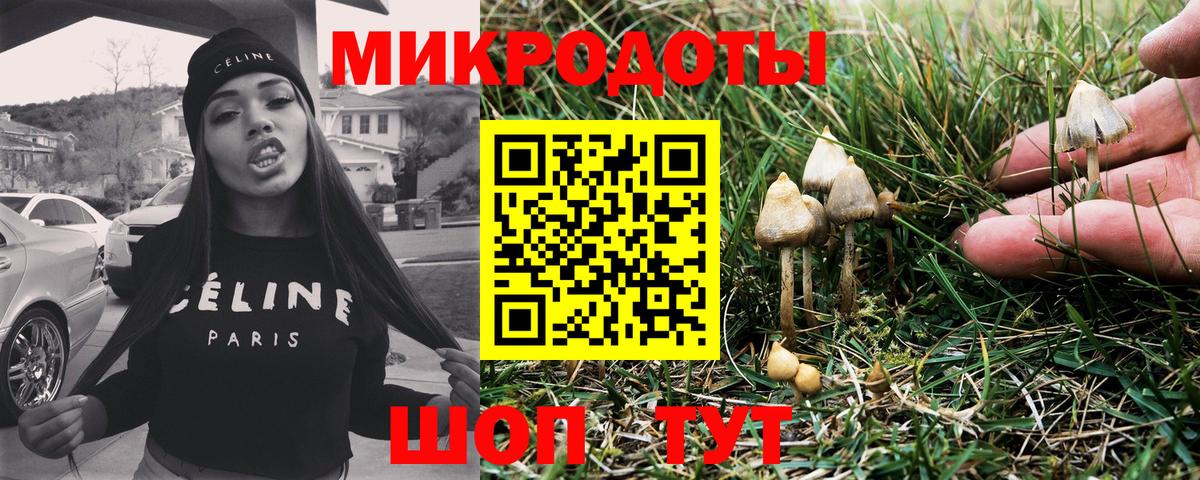 Псилоцибиновые грибы мухоморы Кимры