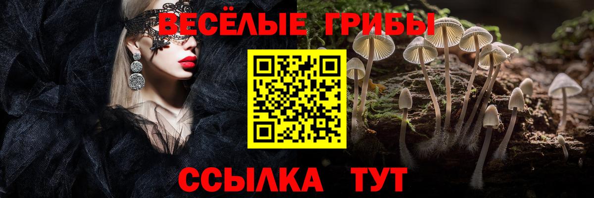 Псилоцибиновые грибы мицелий  Вход с VPN  Кимры 
